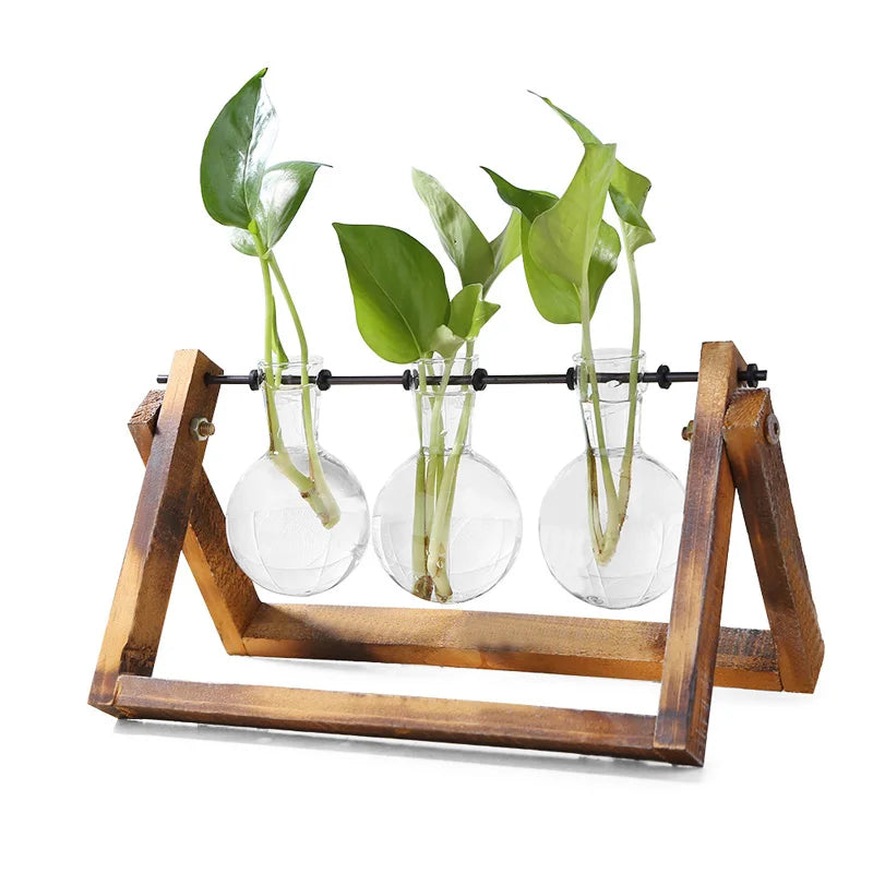 Glass and Wood Vase Planter Terrarium Table Desktop Hydroponics Plant Bonsai Flower Pot Hanging Pots with Wooden Tray Home Decor