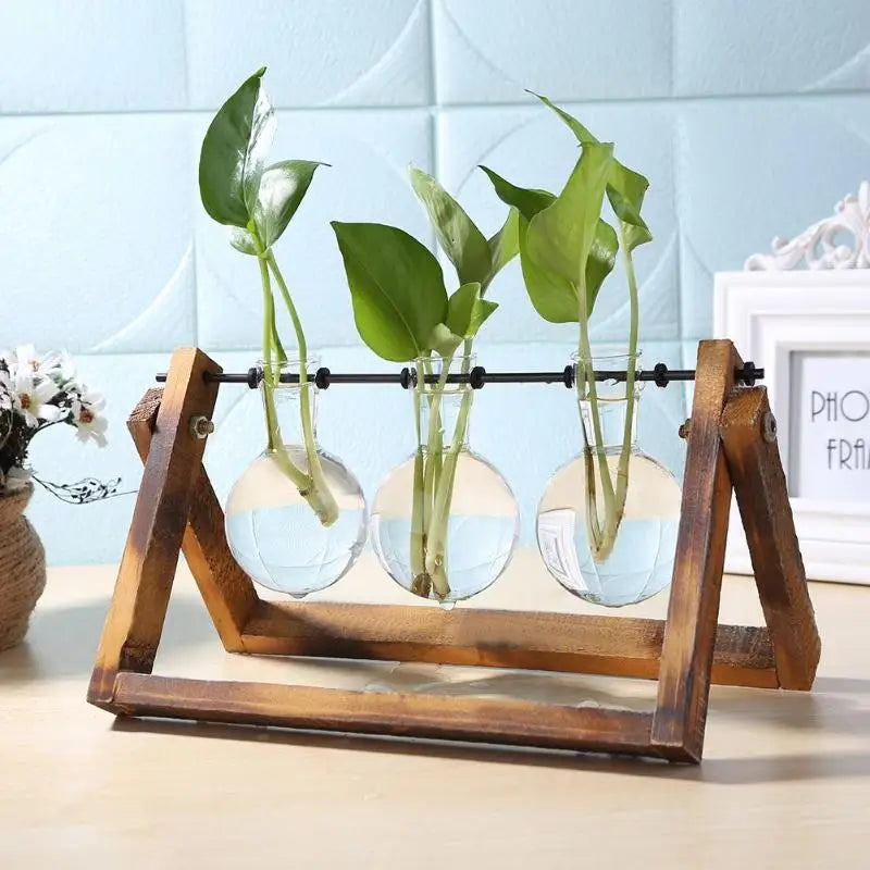 Glass and Wood Vase Planter Terrarium Table Desktop Hydroponics Plant Bonsai Flower Pot Hanging Pots with Wooden Tray Home Decor