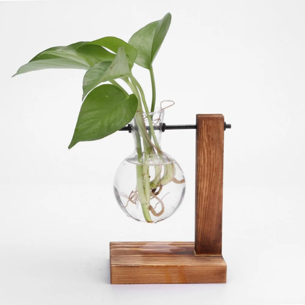 Glass and Wood Vase Planter Terrarium Table Desktop Hydroponics Plant Bonsai Flower Pot Hanging Pots with Wooden Tray Home Decor