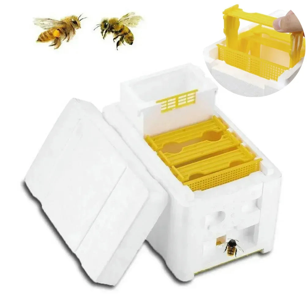 Beehive Beekeeping Box Tools Bee Hive Frame Holder Equipment Kit Beehive Pollination King Bees Hive Box For Beekeeper Supplies