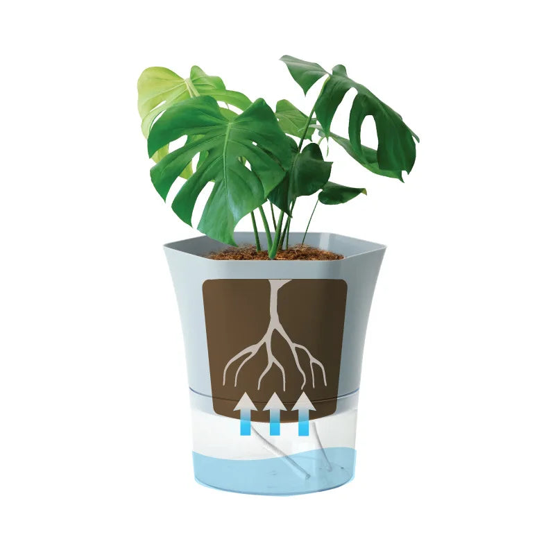 Transparent Plastic Self Watering Flowerpot Cotton Rope Automatic Suction Planter for Desk Garden Lazy Self-Absorbing Plants Pot