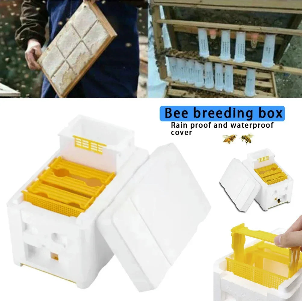 Beehive Beekeeping Box Tools Bee Hive Frame Holder Equipment Kit Beehive Pollination King Bees Hive Box For Beekeeper Supplies