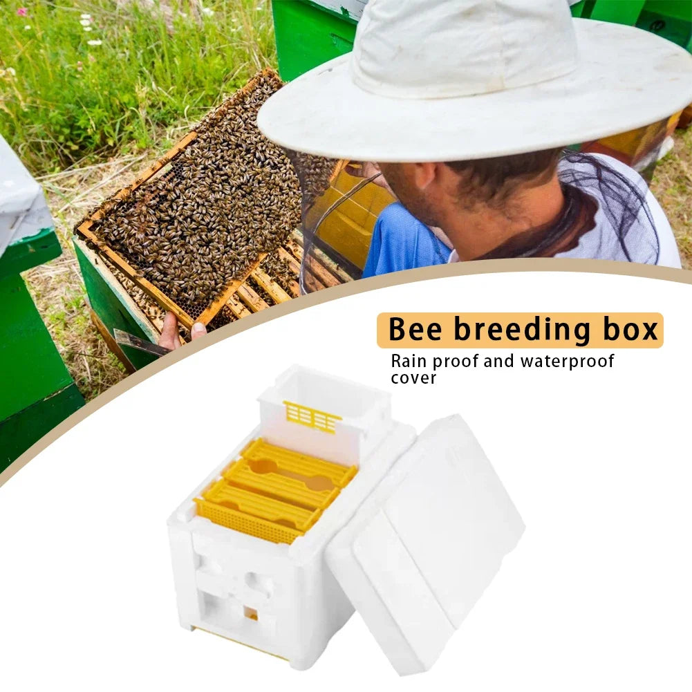 Beehive Beekeeping Box Tools Bee Hive Frame Holder Equipment Kit Beehive Pollination King Bees Hive Box For Beekeeper Supplies