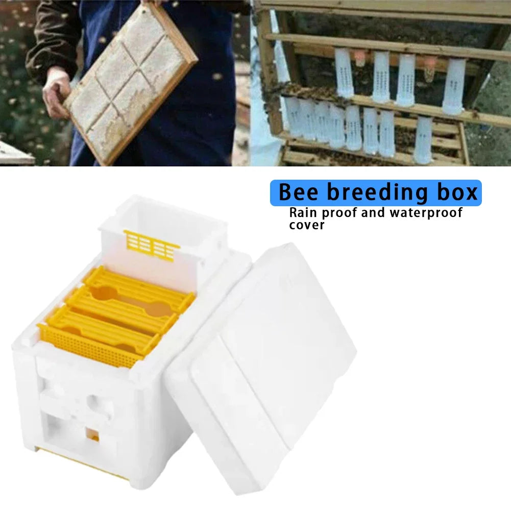 Beehive Beekeeping Box Tools Bee Hive Frame Holder Equipment Kit Beehive Pollination King Bees Hive Box For Beekeeper Supplies