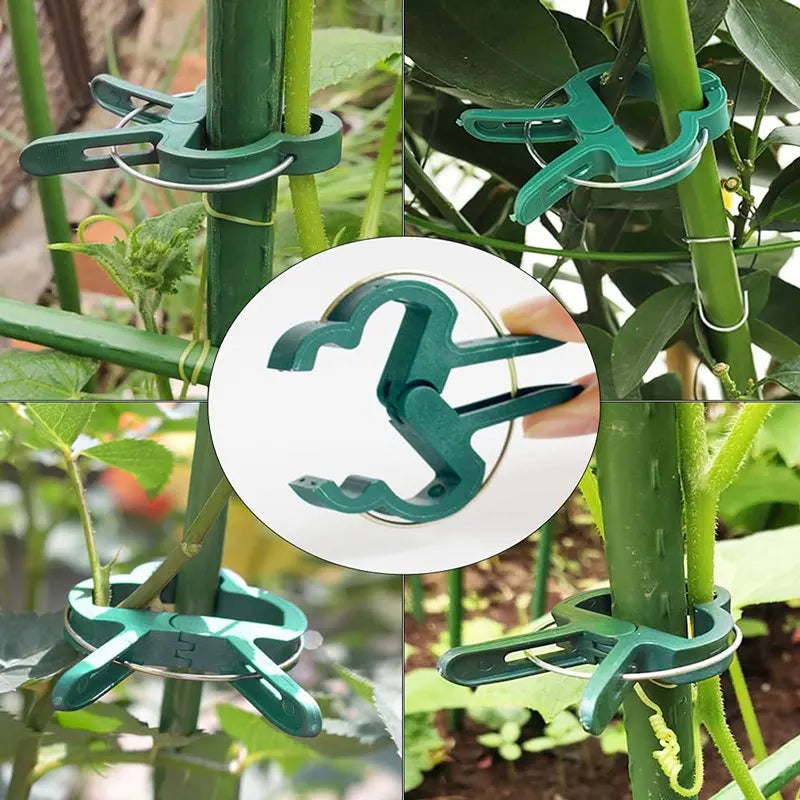 20Pcs Plant Fixed Clips Reusable Garden Greenhouse Bracket for Fixed Plants Vine Flower Seedling Stem Suppor t Garden Supplies