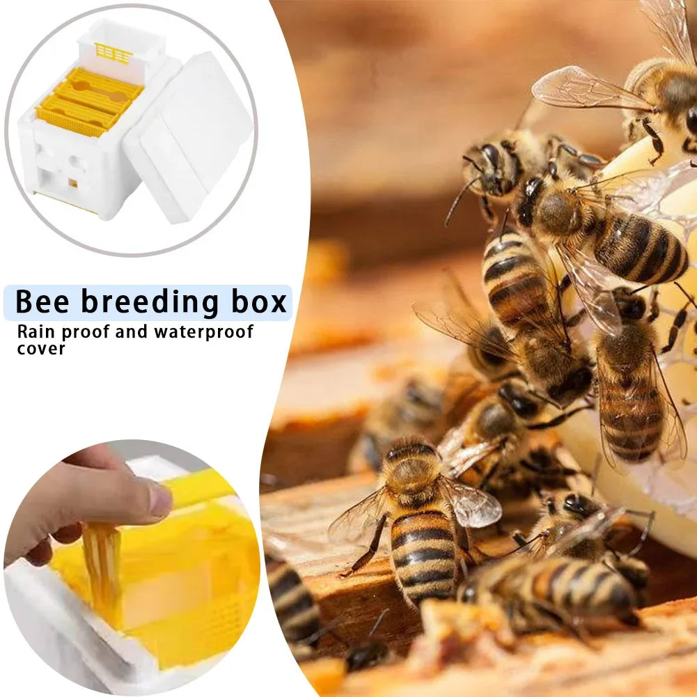 Beehive Beekeeping Box Tools Bee Hive Frame Holder Equipment Kit Beehive Pollination King Bees Hive Box For Beekeeper Supplies