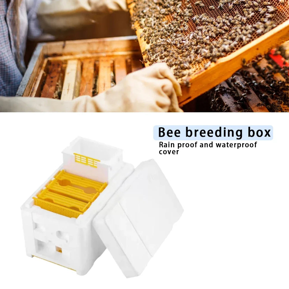 Beehive Beekeeping Box Tools Bee Hive Frame Holder Equipment Kit Beehive Pollination King Bees Hive Box For Beekeeper Supplies